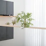 Apartament Nina Da *
